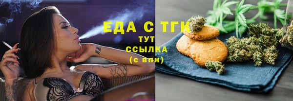 дживик Няндома