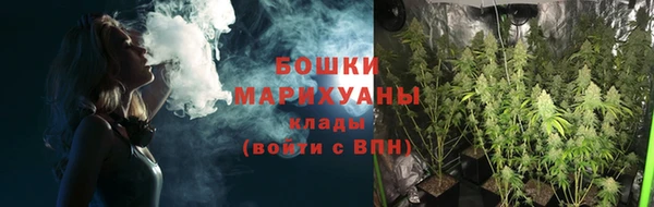 дживик Няндома
