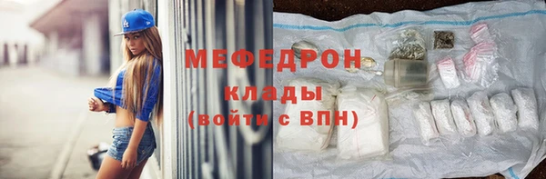 дживик Няндома