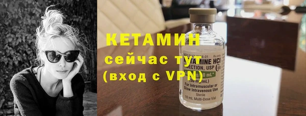 дживик Няндома