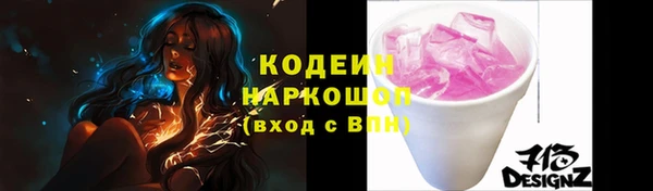 дживик Няндома