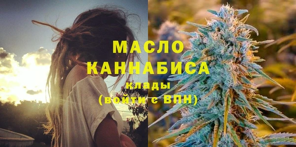 дживик Няндома