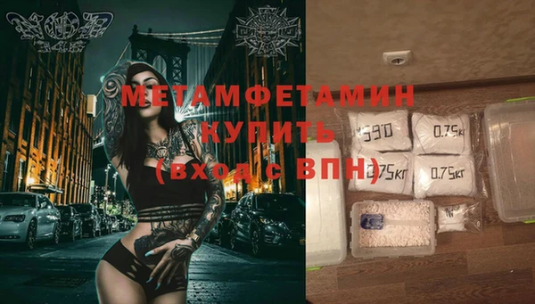дживик Няндома
