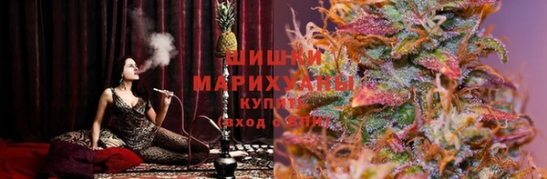 дживик Няндома
