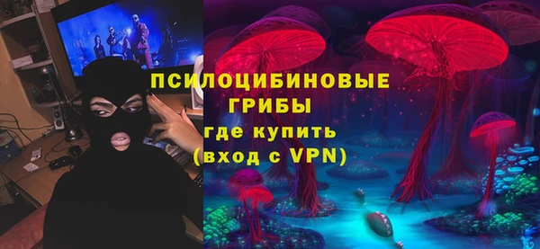 дживик Няндома