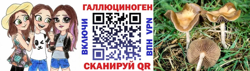 наркотики  Апрелевка  Псилоцибиновые грибы мухоморы 