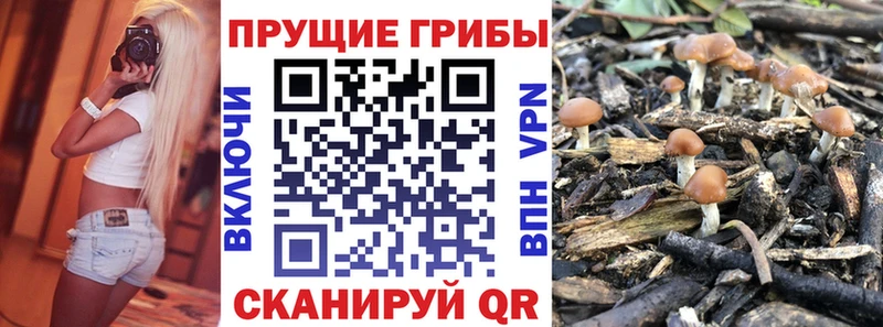 Псилоцибиновые грибы Magic Shrooms Апрелевка